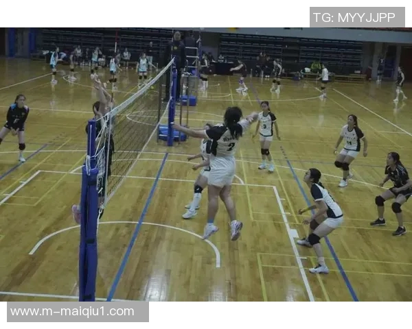 运动数据南京排球队的速度之美探秘排球运动的魅力与激情